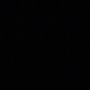 Meet your Posher, Sadie